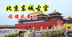 鸡巴捅逼网站www.中国北京-东城古宫旅游风景区